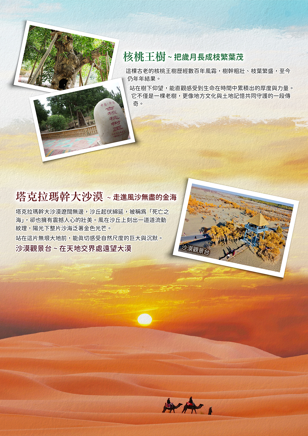 天山山脈 . 羅布人村寨 . 輪台胡楊林 . 塔里木河大橋 . 溫宿大峽谷 . 冰糖心採蘋果 . 盤龍古道 . 核桃王樹 . 塔克拉瑪幹大沙漠 . 天山大峽谷